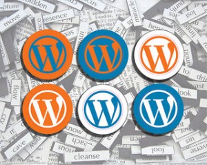 WordPress resume, WordPress configuration